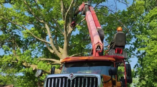 Tree Pruning