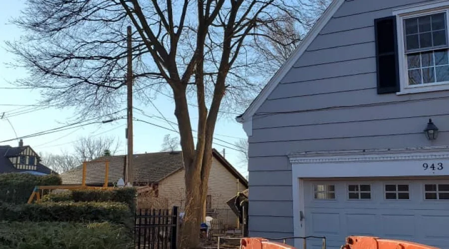 Tree Removal Tree Removal