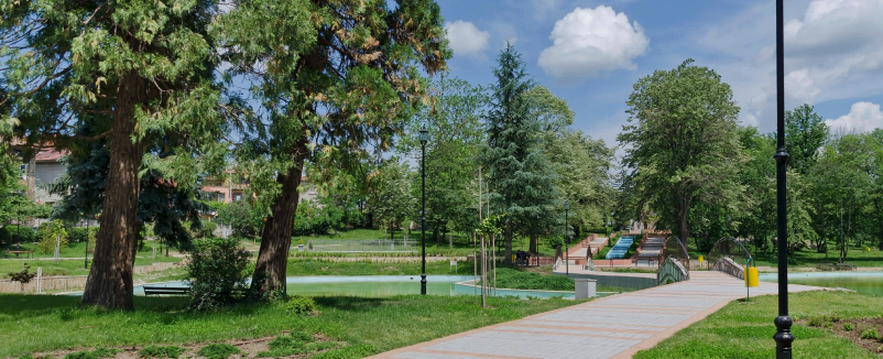 Commercial Tree Removal